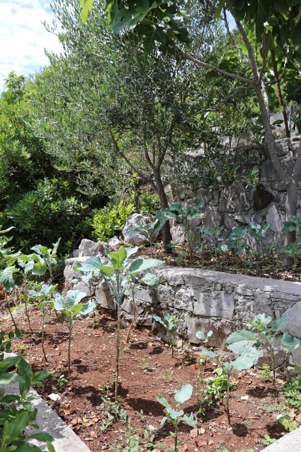 Apartments By The Sea Kabli, Peljesac - 10221 Brijesta المظهر الخارجي الصورة