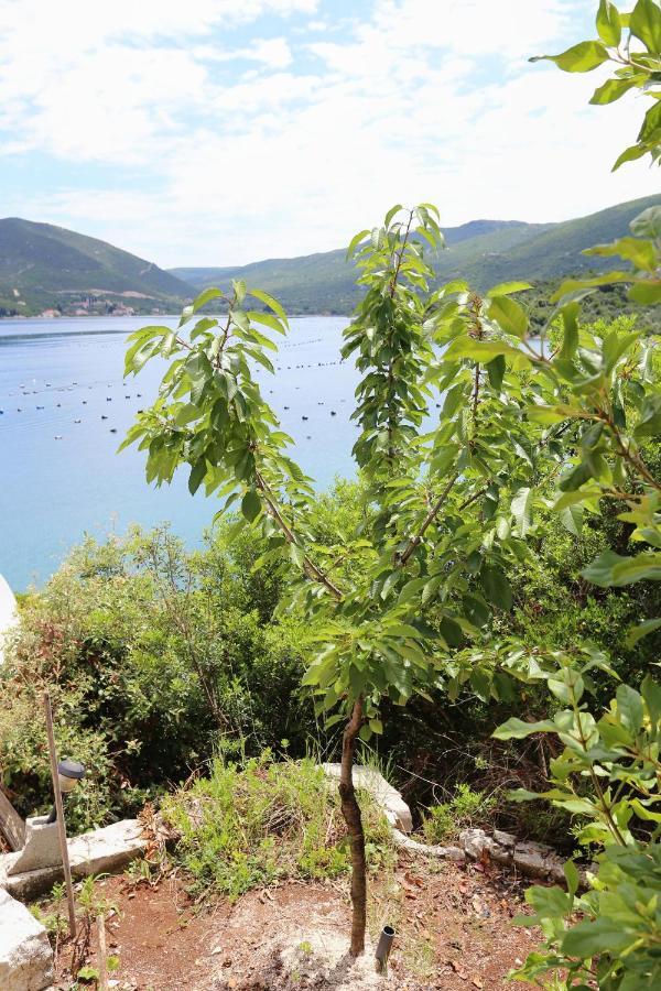 Apartments By The Sea Kabli, Peljesac - 10221 Brijesta المظهر الخارجي الصورة